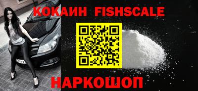 гидра Камышлов