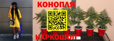 ПСИЛОЦИБИНОВЫЕ ГРИБЫ Канаш