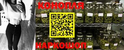 ПСИЛОЦИБИНОВЫЕ ГРИБЫ Канаш