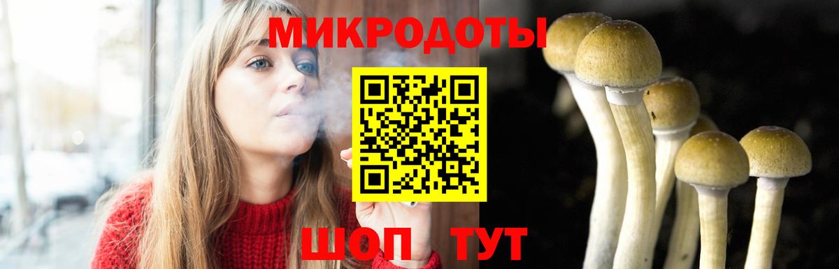 Псилоцибиновые грибы Psilocybe  Вход с VPN  Георгиевск  Галлюциногенные грибы ЛСД 